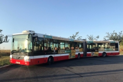 25. července 2019 - SOR NB18 ev. č. 6795 na lince číslo 109 v obratišti Dolní Počernice - Marcela Brzicová