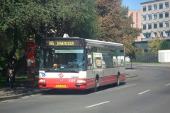 195y 195y