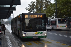 446-20-Bavarski-dvor