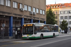 LJ-LPP168-19I-Ziherlova