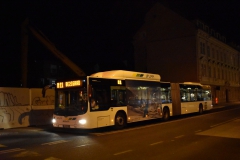 LJ-LPP468-N11-Ziherlova