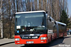 3E6-0989-155713-Autobusove-stanoviste