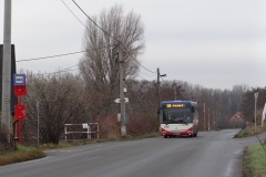 8157-369-Mlazice-Kamenny-srank