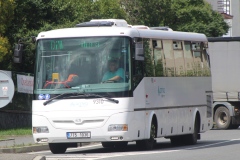 7T5-1036-D70-Sedlecka