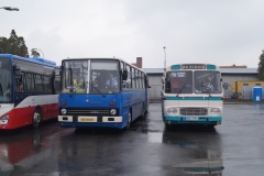 Sedlcany-Historicke-autobusy-na-360-a-486