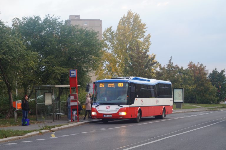 256