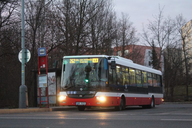 262